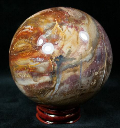 Colorful Petrified Wood Sphere #12409